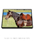 Quadro Decorativo - cavalo encilhado 02 - comprar online