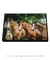 Quadro Decorativo - cavalos 04 - comprar online