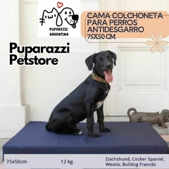 CAMA COLCHONETA PARA PERROS PETS ANTIDESGARRO!!! 75X50X10 CM con Funda Impermeable uso interno y externo