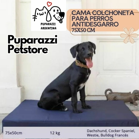 Colchonetas antidesgarro fashion para perros