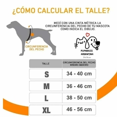 COMBO PUPARAZZI: Pretal Antitirones + Correa + Cinturón Para Auto Perro Gato-ENVIO GRATIS!!! - PUPARAZZI Pet Store