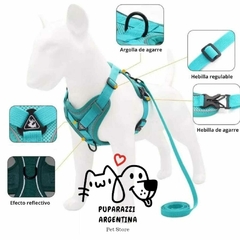 COMBO PUPARAZZI: Pretal Antitirones + Correa + Cinturón Para Auto Perro Gato-ENVIO GRATIS!!! en internet