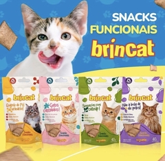 SNACKS FUNCIONAIS