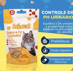 SNACKS FUNCIONAIS - comprar online