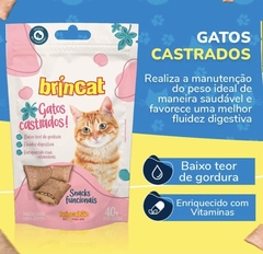 SNACKS FUNCIONAIS na internet