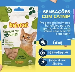 SNACKS FUNCIONAIS - Blessedpet