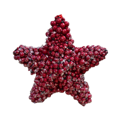 Enfeite Estrela Natalina de Pendurar (Vermelho) 19 cm - Grillo