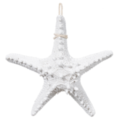 Enfeite Natal Estrela do Mar (Branco) 16cm - Flor Arte