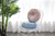 Imagem do Almofada para Sofá Decorativa Roda