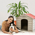 Casa para perro chico UBQ modelo Rimax en internet