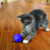 Kong Treat Ball - Bola dispensadora de petiscos para gatos - loja online