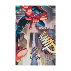 O Espetacular Homem-Aranha Vol 1 - Nova fase - Autografada por John Romita Jr - comprar online