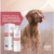 SOFT CARE K-TREAT SHAMPOO MICELAR 300ML - Para cães e gatos - Langeloh Store