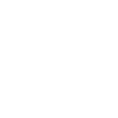 The Butcher Carnes