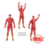 Boneco The Flash 15cm - comprar online