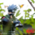 Kakashi Hatake - Naruto Shippuden na internet