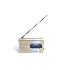 Lelong - Rádio LE-651 - comprar online