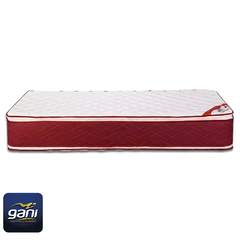 COLCHON RESORTE GANI RED SPRING C/P -3.0- 190X100 - comprar online