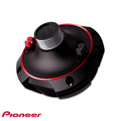 DRIVER PIONEER TS-DR250PRO 100W - comprar online