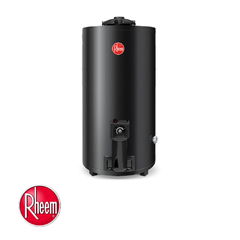 TERMOTANQUE RHEEM TGNP080RH 80 LTS GN PIE CON. SUP.