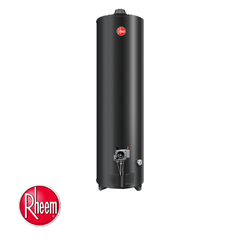 TERMOTANQUE RHEEM 160LTS APG160NRH ENLOZ. ALTA POTENCIA