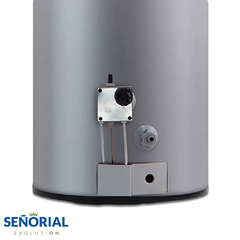 TERMOTANQUE SEÑORIAL 330008 FAMILY 85LTS MULTIGAS - comprar online