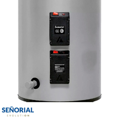 TERMOTANQUE ELECTRICO SEÑORIAL 330010 FAMILY 90LTS ALTA RECUP. - comprar online