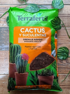 Sustrato para cactus y suculentas 5 lt.