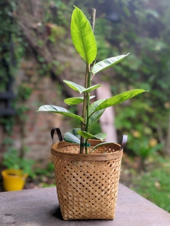 Canasto de bambu natural con asas de ecocuero en internet