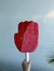 Paleta Gigante "AMOR" - comprar en línea