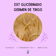 EXT GLICERINADO GÉRMEN DE TRIGO