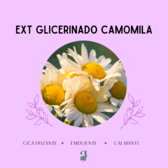 EXT GLICERINADO CAMOMILA