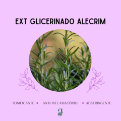 EXT GLICERINADO ALECRIM