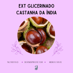 EXT GLICERINADO CASTANHA DA ÍNDIA