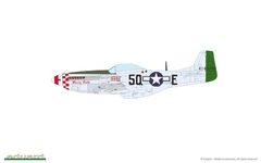 P-51D: Mighty Eight 66th FW 1/48 - Edição Limitada Eduard 11174 - loja online