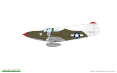 P-39N Airacobra 1/48 - Edição Profipack Eduard 8067