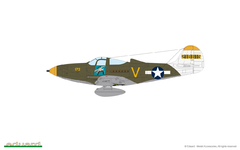P-39N Airacobra 1/48 - Edição Profipack Eduard 8067 - comprar online