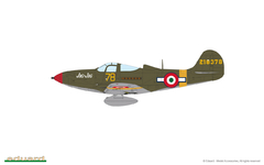 P-39N Airacobra 1/48 - Edição Profipack Eduard 8067 - loja online