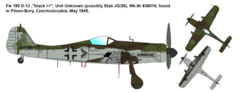 Fw 190D-13 Nordenham 1/72 - IBG 72535 na internet