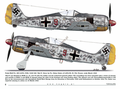 Fw 190s over Europe Part I (com decais) - Kagero 15035 na internet