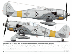 Fw 190s over Europe Part I (com decais) - Kagero 15035 - Hey Hobby - Modelismo Extraordinário