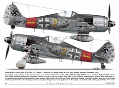 Fw 190s over Europe Part I (com decais) - Kagero 15035 - loja online
