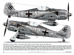 Imagem do Fw 190s over Europe Part I (com decais) - Kagero 15035