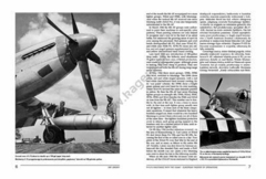 P-51/F-6 Mustangs da USAAF na Europa (sem máscara) - Kagero 19011 na internet