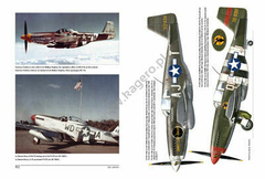 P-51/F-6 Mustangs da USAAF na Europa (sem máscara) - Kagero 19011 - comprar online