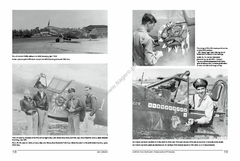 Curtiss P-40 Warhawk (Tomahawk e Kittyhawk) - Kagero 19010 na internet