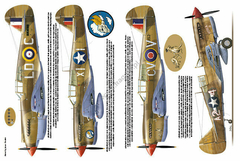 Curtiss P-40 Warhawk (Tomahawk e Kittyhawk) - Kagero 19010 - loja online