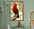 Cuadro Lienzo Pajaro loro rojo Ref A097