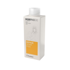 Morphosis Repair Shampoo - 250 ML