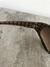 Imagen de Lentes de sol Burberry de dama